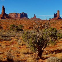 Monument Valley, Petrified Forest and other treasures on Colorado Plateau